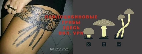 ГАЛЛЮЦИНОГЕННЫЕ ГРИБЫ Белокуриха