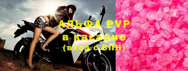 ГАЛЛЮЦИНОГЕННЫЕ ГРИБЫ Белокуриха