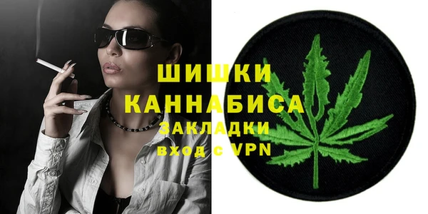 ГАЛЛЮЦИНОГЕННЫЕ ГРИБЫ Белокуриха