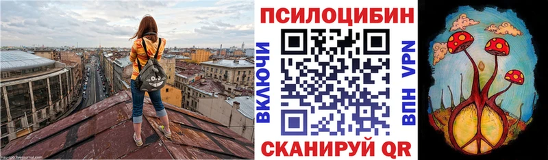 Галлюциногенные грибы Psilocybine cubensis  kraken рабочий сайт  Семикаракорск 